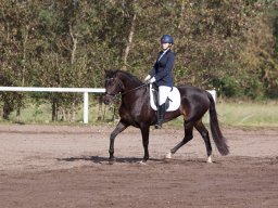 IMG_7826_web